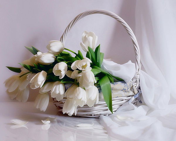 Фидалия Ямалиева