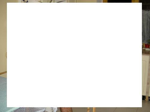 Макс Фадеев