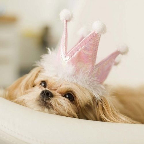 Сандрина Иванова