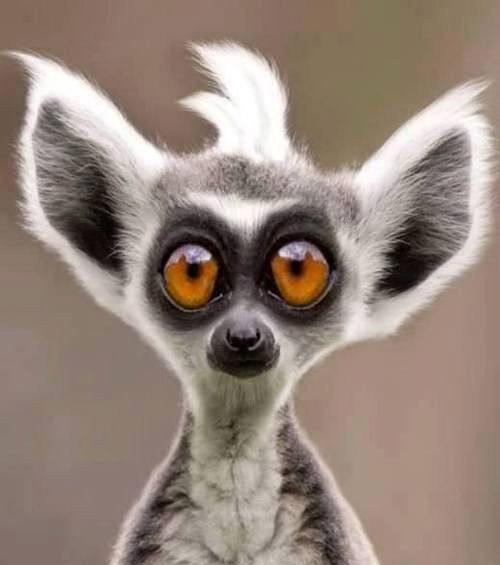 Юрий Ермолаев