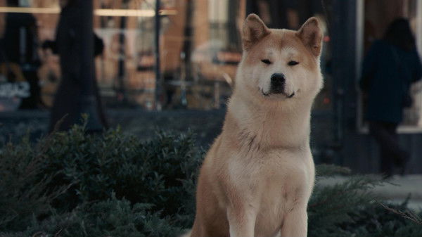 Саня Петренко