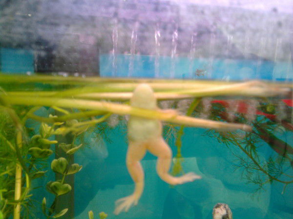 Татьяна Черемных