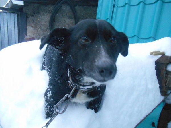 Юрий Радченко