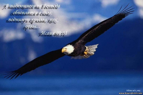 Александр Конычев