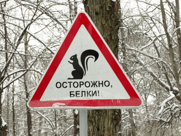 Имя Фамилия