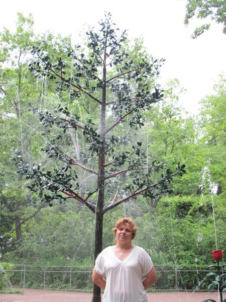 Ольга Кутепова