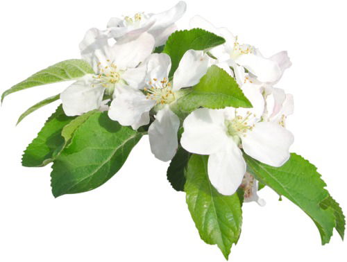 Ирина Чикалина