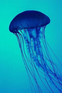 Лиля Ижбулатова