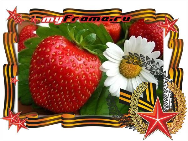 Галина Бринюк