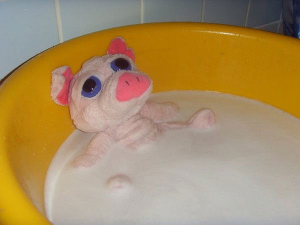 Александр Адам