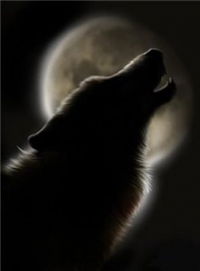 Дмитрий Волков