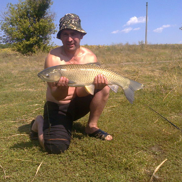 Виталий Ткаченко