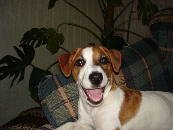 Наталья Антоненко