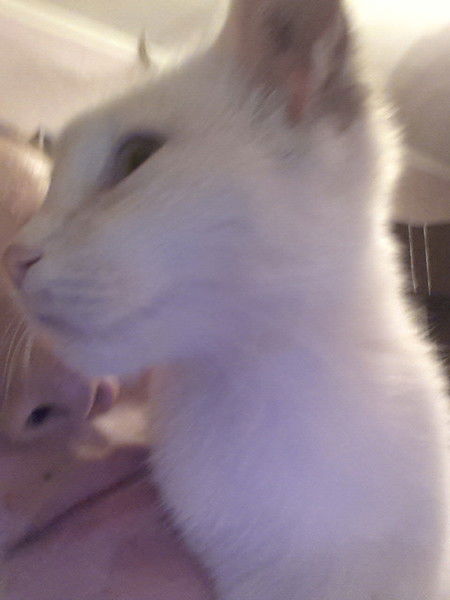 !!! Adas Tileubekovna