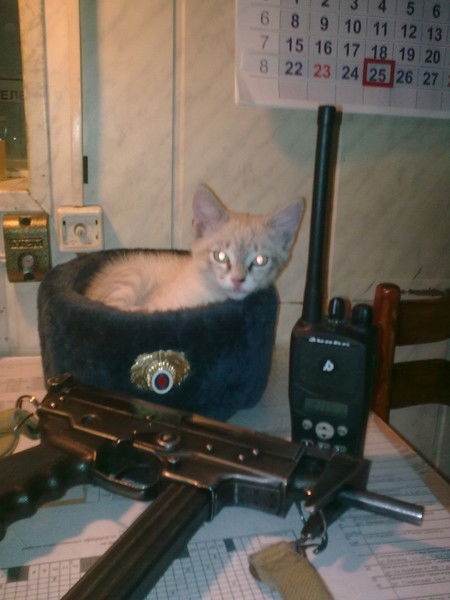 Сергей Таранов