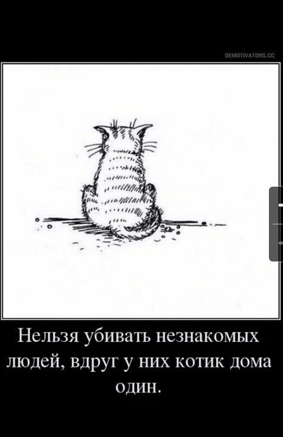 Вячеслав Афонькин