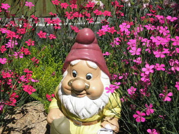 Нина Иванова