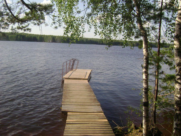 Ольга Прокофьева