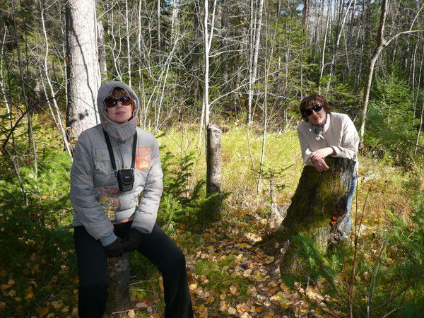 Елена Шапко