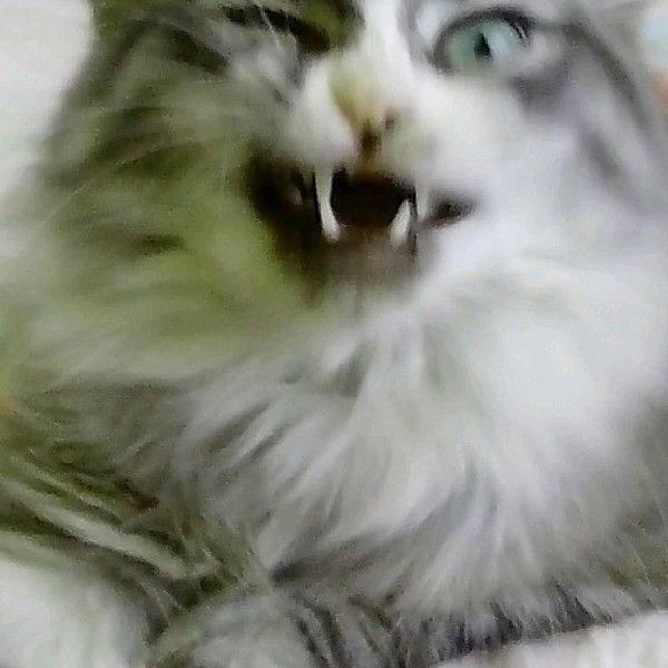 Алексей Александрович