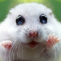 Елизавета Иминова