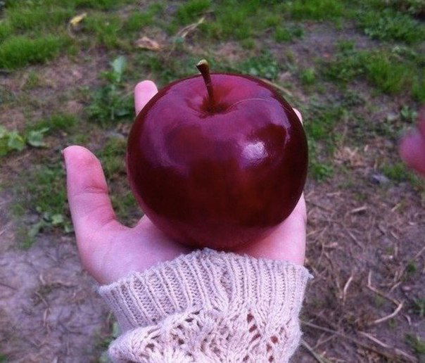 Анастасия Слесарева