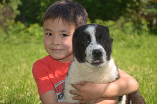 Асет Жанибек