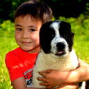 Асет Жанибек