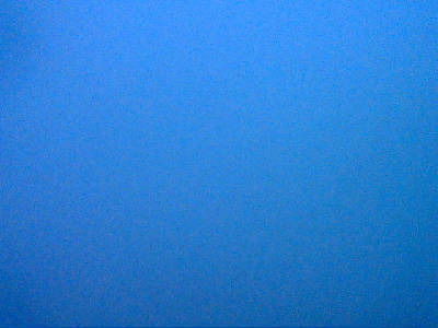 Ирина Новикова