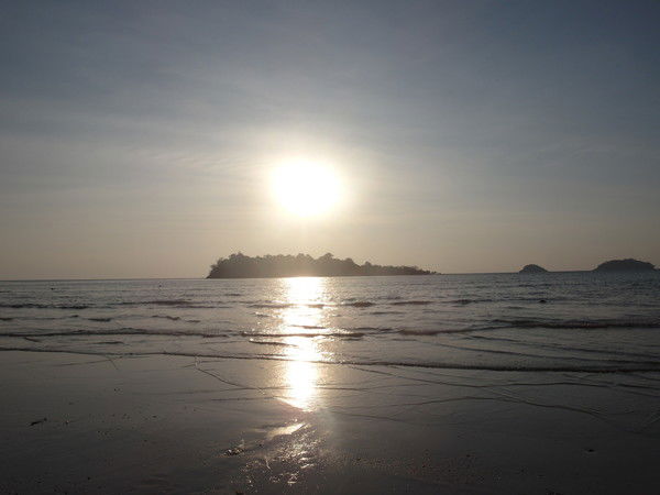 Ксеничка Бараболя