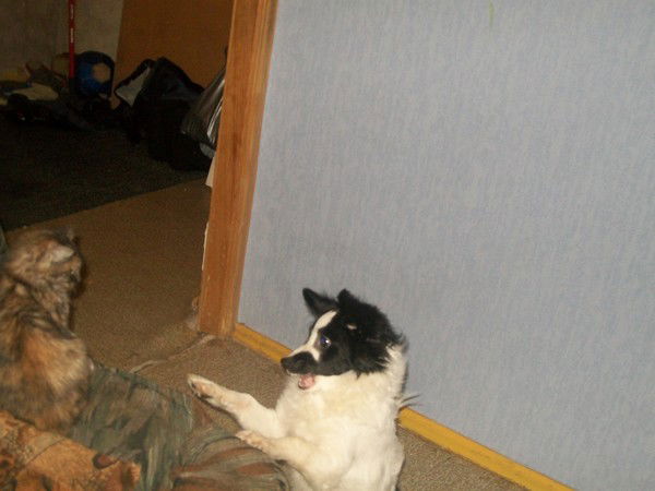 Ольга Денисова