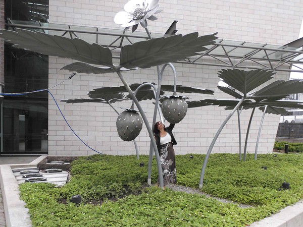 Аня Островидова