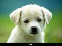 Марсилия Марселовна