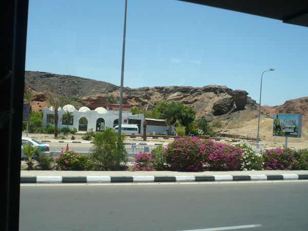 Тамара Морозова