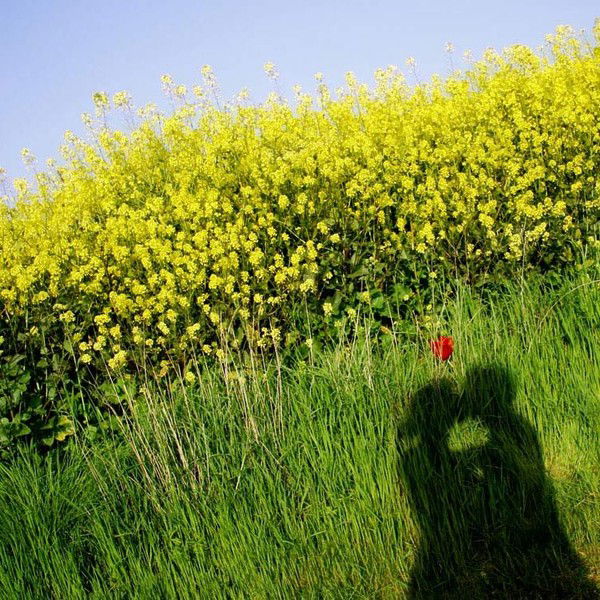 Антонина Орлова