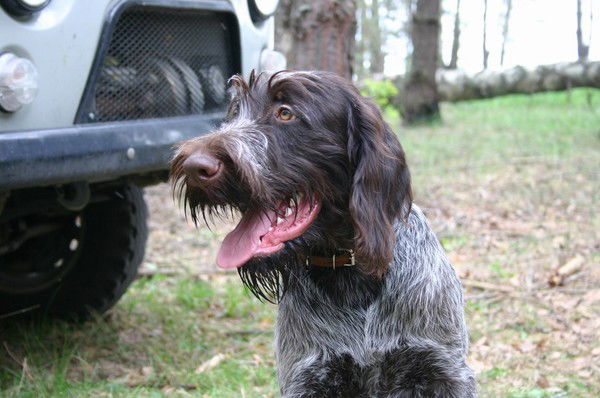 Рыбаков Владимир
