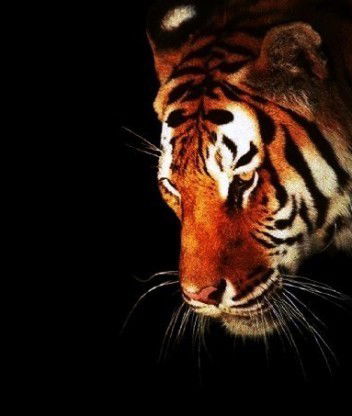 Денис Варламов