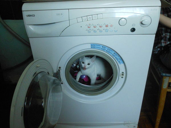 Виктор Щербинин