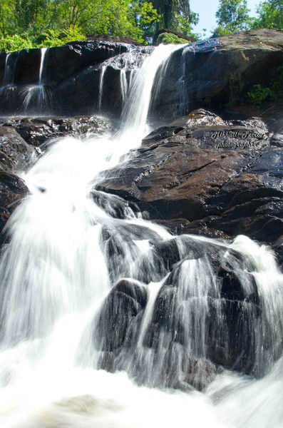 Svetlana Петрова