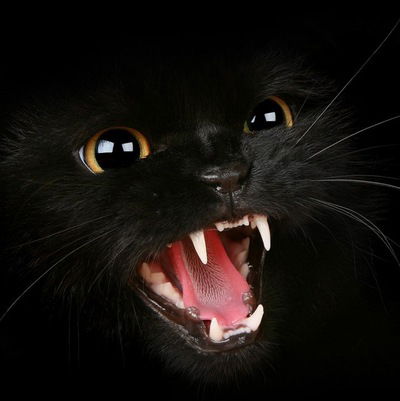 Лиза Бурова