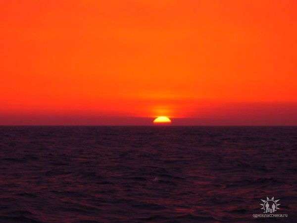 Евгений Тарарин