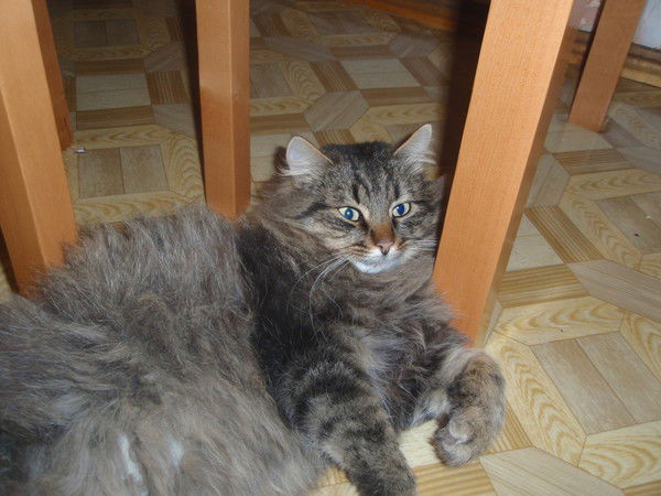 Валерий Белов