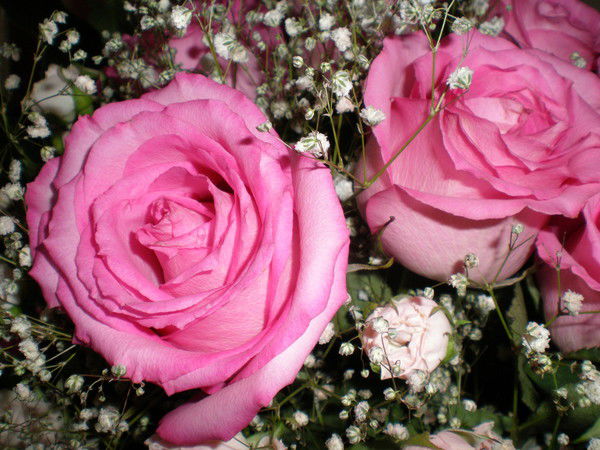 Татьяна Новоженина