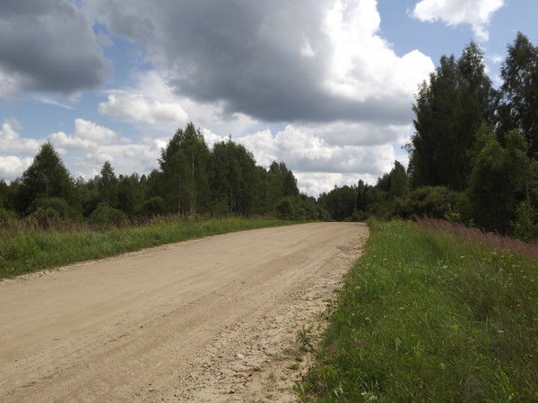 Алла Кузнецова