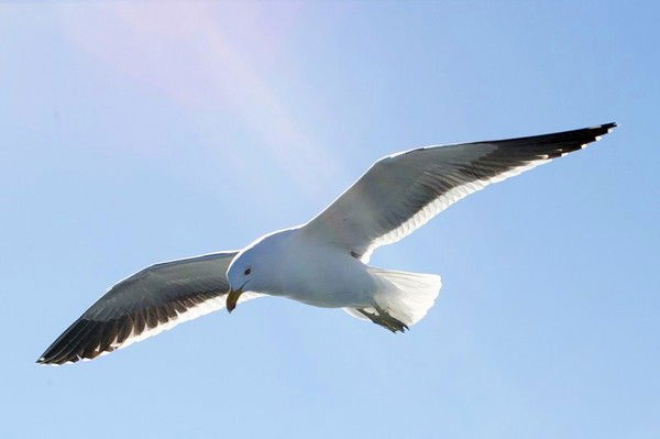 Фатыма Султанова