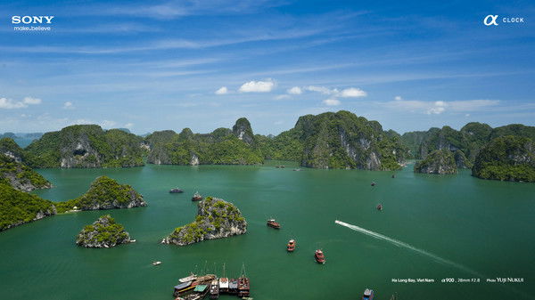 Сидоров Вова