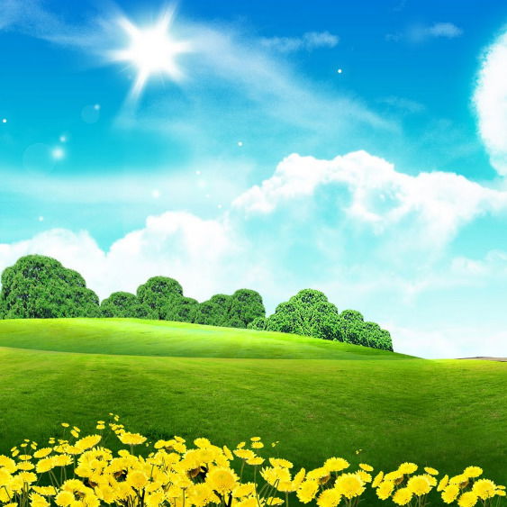 Наталья Момотова