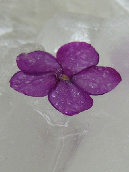 Таня Попова