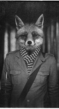 Никита Модин