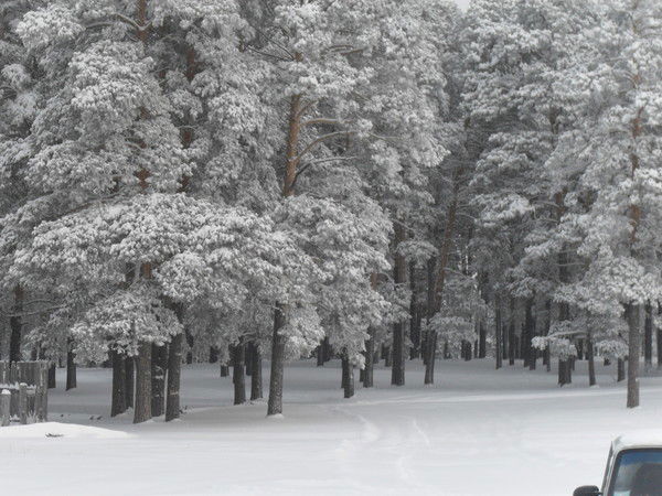 Альберт Усманов